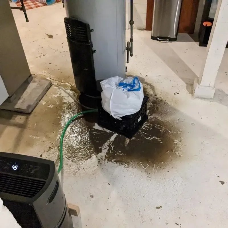 Sewage Backup Cleanup Service in Plymouth County, MA